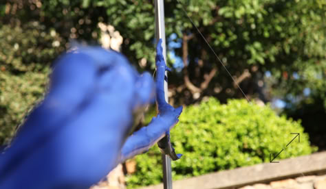 Blue Birds-1 by DEC